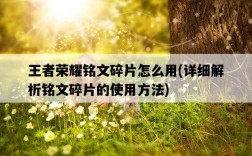 王者榮耀銘文碎片怎么用，詳細解析銘文碎片的使用方法