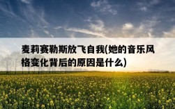 麥莉賽勒斯放飛自我，她的音樂風格變化背后的原因是什么