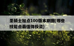 圣騎士加點100版本刷圖，哪些技能點最值得投資