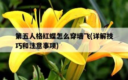 第五人格紅蝶怎么穿墻飛，詳解技巧和注意事項