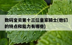 數碼寶貝第十三位皇家騎士，他們的特點和能力有哪些
