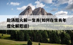 赴湯蹈火解一生肖，如何在生肖年度化解厄運