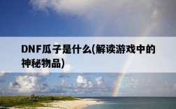 DNF瓜子是什么,解讀游戲中的神秘物品