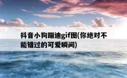 抖音小狗蹦迪gif圖，你絕對不能錯過的可愛瞬間