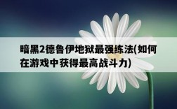 暗黑2德魯伊地獄最強練法，如何在游戲中獲得最高戰斗力