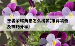 王者榮耀黃忠怎么出裝，推薦裝備及技巧分享