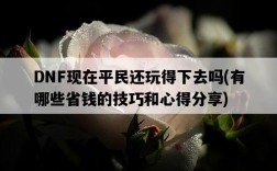 DNF現在平民還玩得下去嗎，有哪些省錢的技巧和心得分享