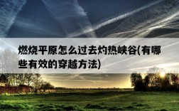 燃燒平原怎么過去灼熱峽谷，有哪些有效的穿越方法
