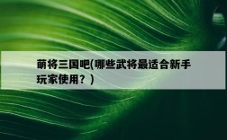 萌將三國吧，哪些武將最適合新手玩家使用？