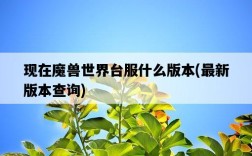 現在魔獸世界臺服什么版本，最新版本查詢
