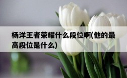 楊洋王者榮耀什么段位啊，他的最高段位是什么