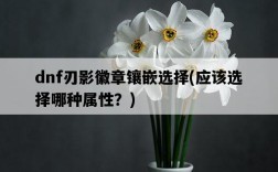 dnf刃影徽章鑲嵌選擇，應該選擇哪種屬性？