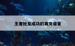 王者搶龍成功的英文諧音