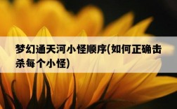 夢幻通天河小怪順序，如何正確擊殺每個小怪