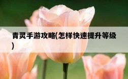 青靈手游攻略，怎樣快速提升等級