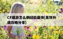 CF端游怎么刷經驗最快，高效升級攻略分享