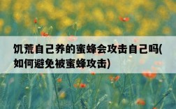 饑荒自己養的蜜蜂會攻擊自己嗎，如何避免被蜜蜂攻擊