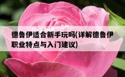 德魯伊適合新手玩嗎，詳解德魯伊職業特點與入門建議