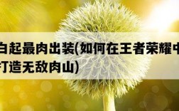 白起最肉出裝，如何在王者榮耀中打造無敵肉山