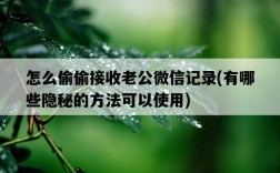 怎么偷偷接收老公微信記錄，有哪些隱秘的方法可以使用