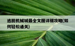 逃脫機械城最全文圖詳細攻略，如何輕松通關