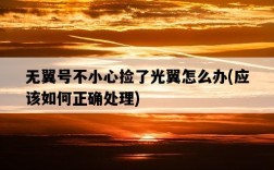 無翼號不小心撿了光翼怎么辦，應該如何正確處理