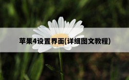 蘋果4設置界面，詳細圖文教程