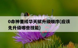 0命神里綾華天賦升級順序，應該先升級哪些技能