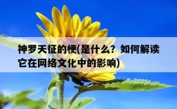 神羅天征的梗，是什么？如何解讀它在網絡文化中的影響