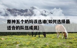 原神五個奶媽該選誰，如何選擇最適合的隊伍成員