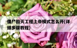 僵尸毀滅工程上帝模式怎么開，詳細步驟教程