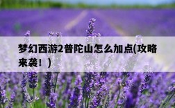 夢幻西游2普陀山怎么加點，攻略來襲！