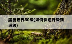 魔獸世界60級，如何快速升級到滿級