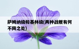 薩姆納級和基林級，兩種戰艦有何不同之處