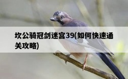 坎公騎冠劍迷宮39，如何快速通關攻略