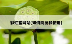 彩虹堂網站，如何瀏覽和使用