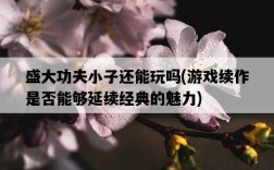 盛大功夫小子還能玩嗎，游戲續作是否能夠延續經典的魅力