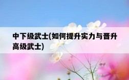 中下級武士，如何提升實力與晉升高級武士
