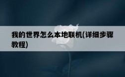 我的世界怎么本地聯機，詳細步驟教程