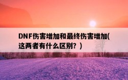 DNF傷害增加和最終傷害增加，這兩者有什么區別？