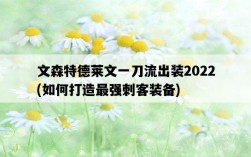 文森特德萊文一刀流出裝2022，如何打造最強刺客裝備
