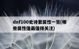 dnf100史詩套屬性一覽，哪些屬性值最值得關注