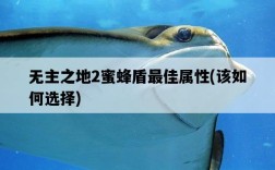 無主之地2蜜蜂盾最佳屬性，該如何選擇