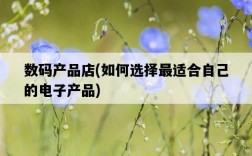 數碼產品店，如何選擇最適合自己的電子產品