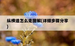 縱橫道怎么走圖解，詳細步驟分享