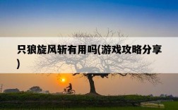 只狼旋風斬有用嗎，游戲攻略分享