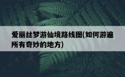 愛麗絲夢游仙境路線圖，如何游遍所有奇妙的地方