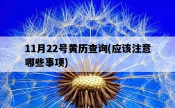 11月22號黃歷查詢，應該注意哪些事項