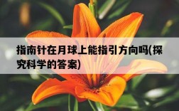 指南針在月球上能指引方向嗎，探究科學的答案