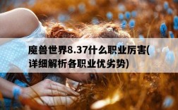 魔獸世界8.37什么職業厲害，詳細解析各職業優劣勢